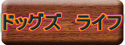 �h�b�O�Y�@���C�t 